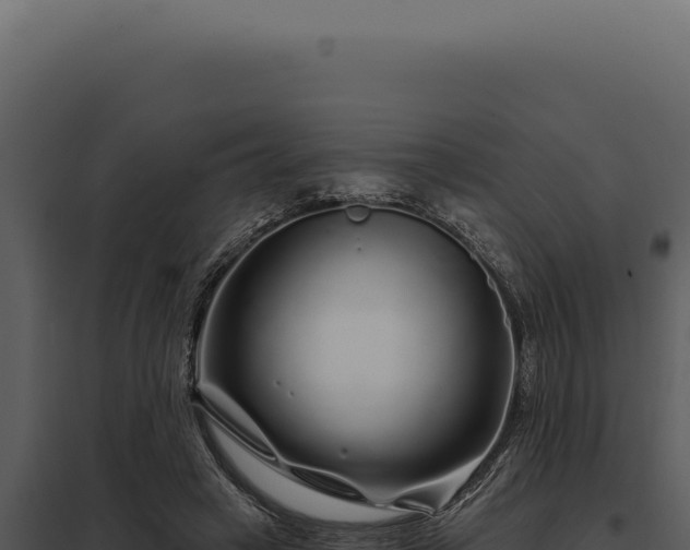 X0000097970449200804011725