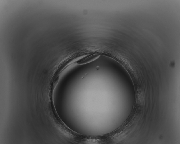 X0000097970450200804011725