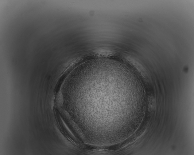 X0000097970451200804011725