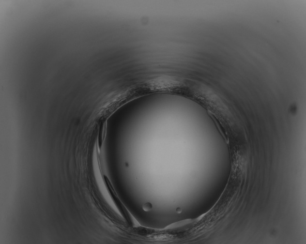 X0000097970452200804011725