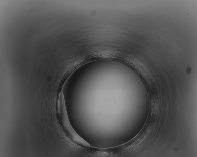 X0000097970453200804011725