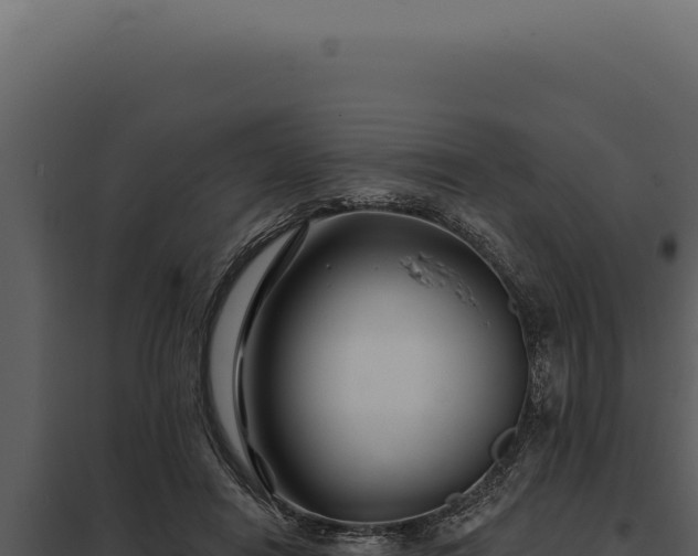 X0000097970454200804011725