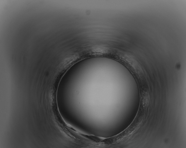 X0000097970455200804011725