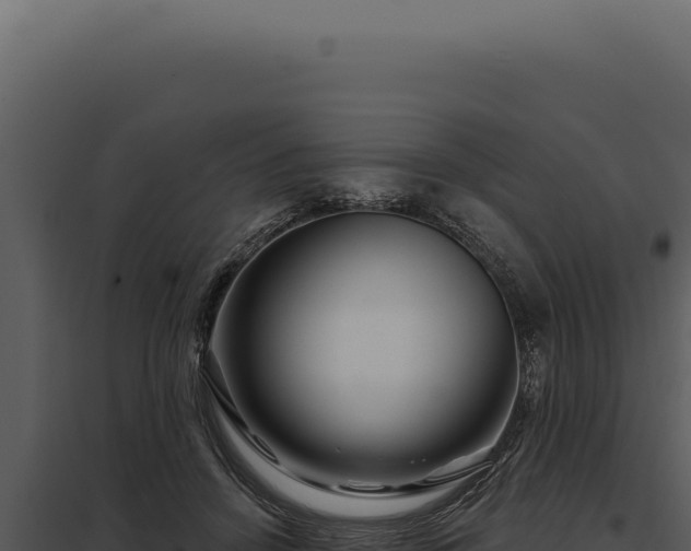 X0000097970456200804011725