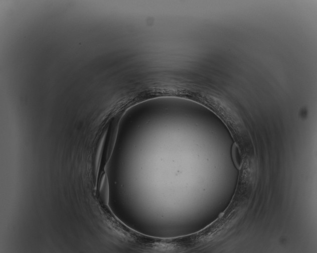 X0000097970457200804011725