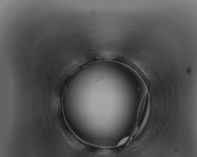 X0000097970459200804011725