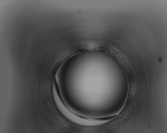 X0000097970461200804011725