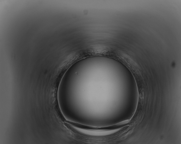 X0000097970462200804011725