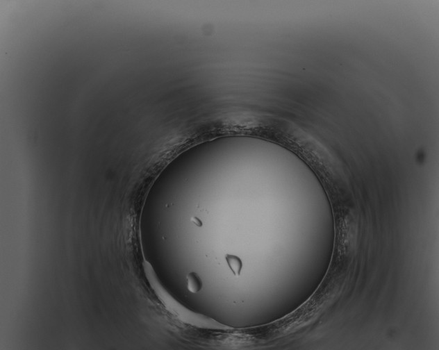 X0000097970463200804011725