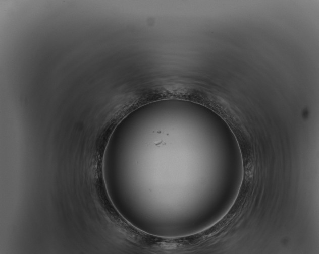 X0000097970464200804011725