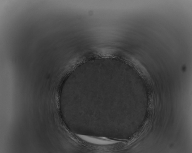 X0000097970465200804011725