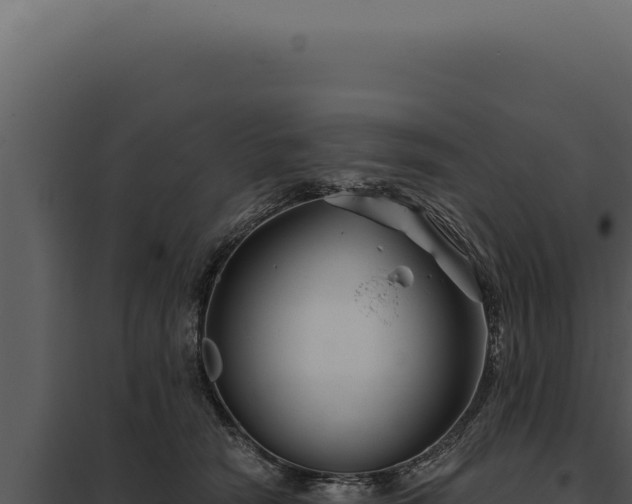 X0000097970466200804011725