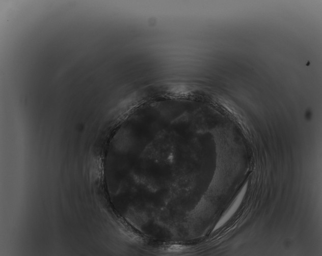 X0000097970467200804011725