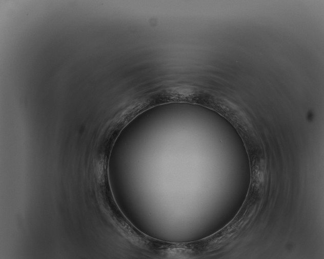 X0000097970468200804011725