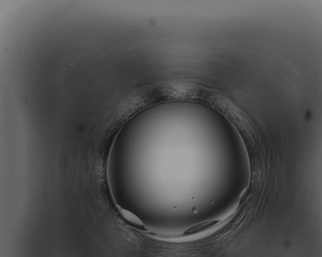 X0000097970469200804011725