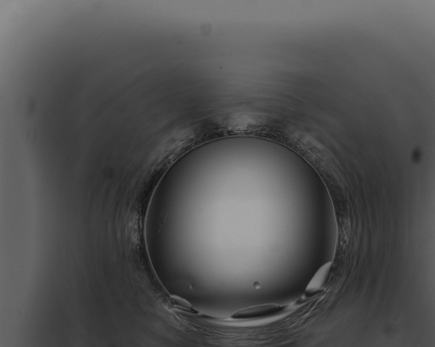 X0000097970470200804011725