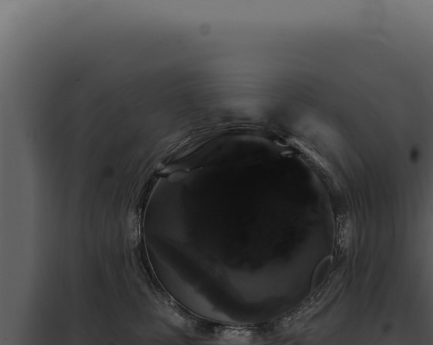 X0000097970471200804011725