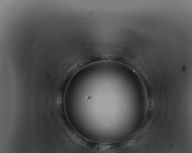 X0000097970472200804011725