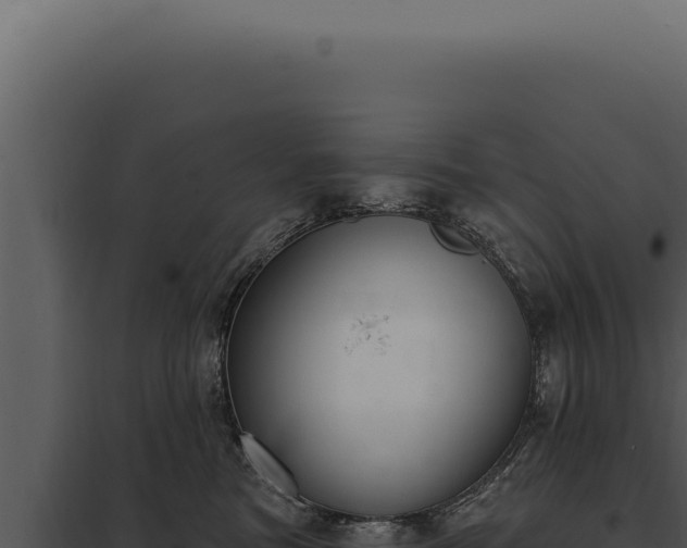 X0000097970473200804011725