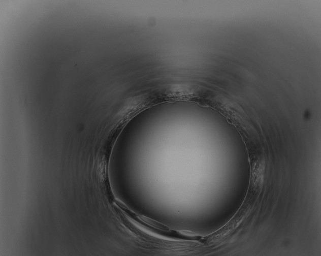 X0000097970474200804011725