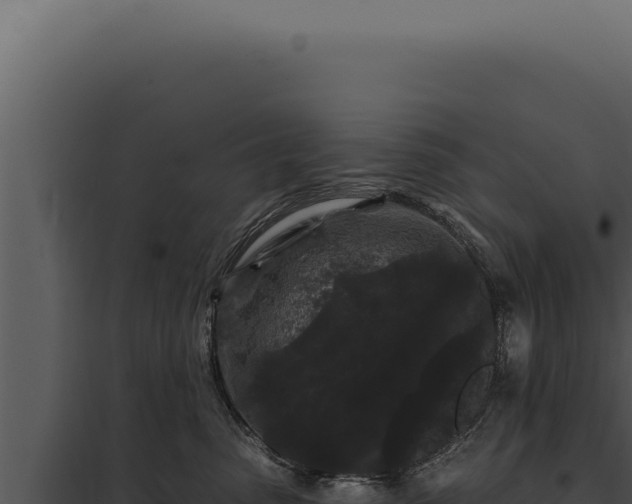 X0000097970475200804011725