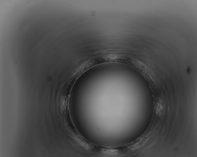 X0000097970476200804011725