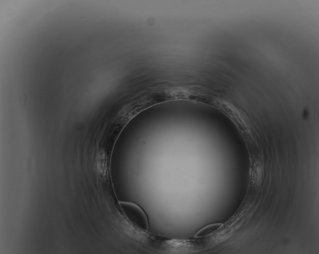 X0000097970477200804011725