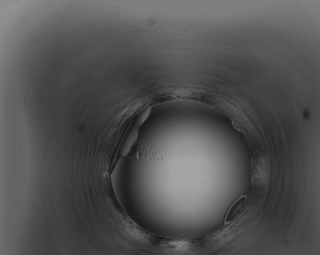 X0000097970478200804011725