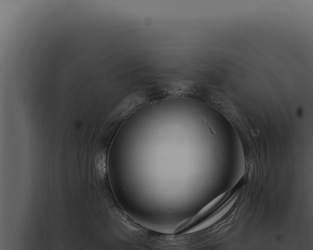 X0000097970479200804011725