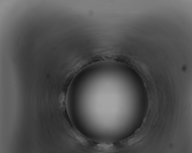 X0000097970480200804011725