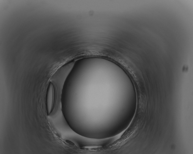 X0000097970481200804011724