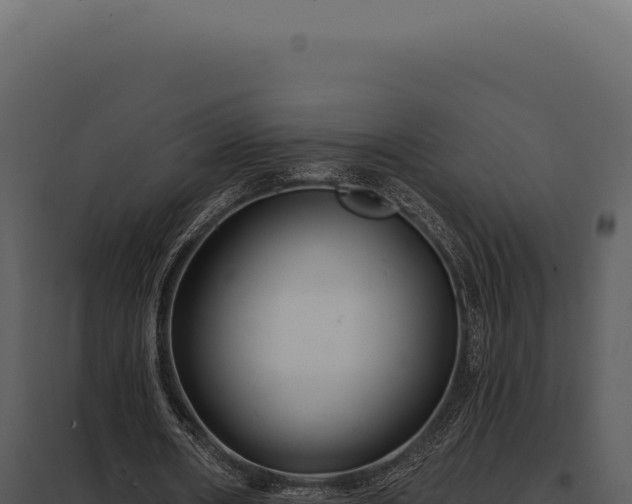 X0000097970482200804011724