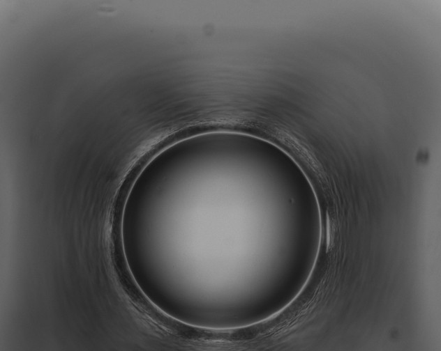 X0000097970483200804011724