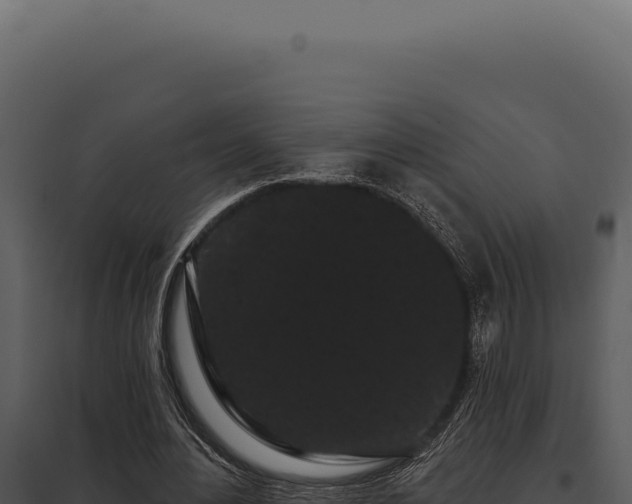 X0000097970484200804011724