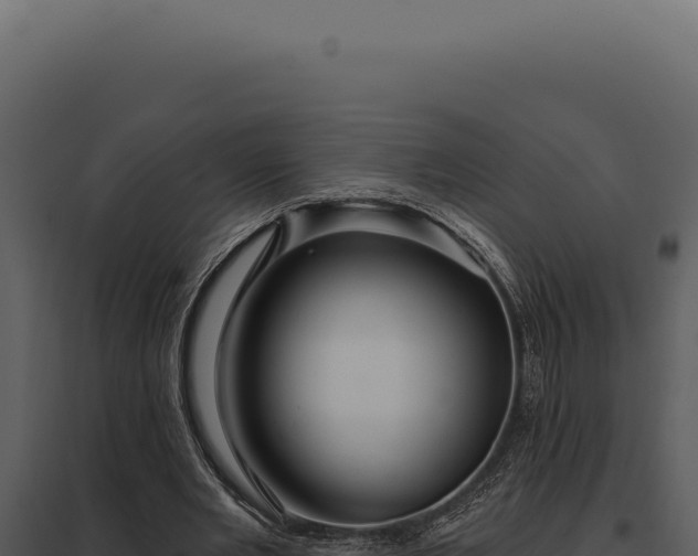 X0000097970485200804011724