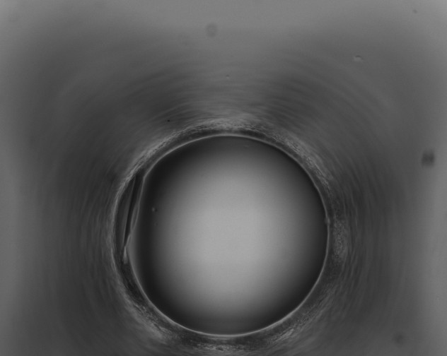 X0000097970486200804011724