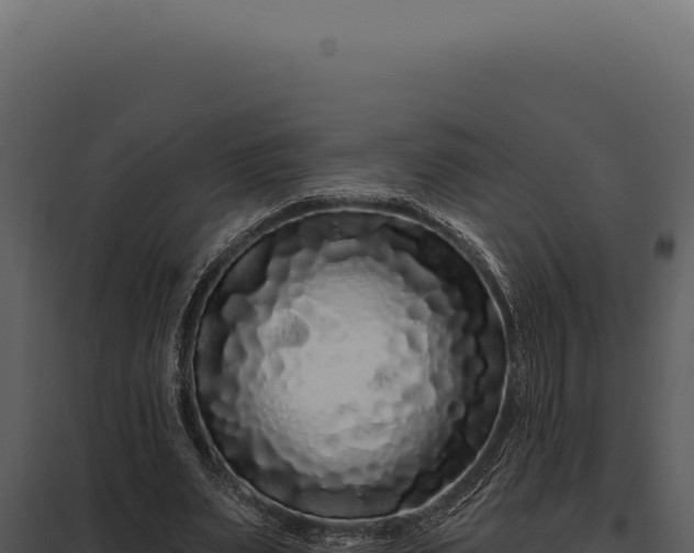 X0000097970487200804011724