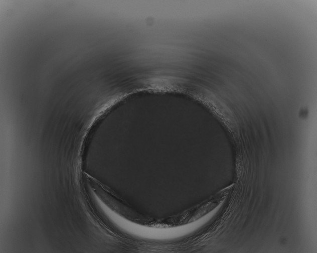 X0000097970488200804011724