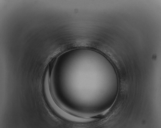 X0000097970489200804011724