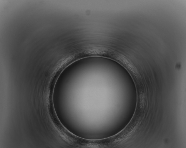 X0000097970490200804011724