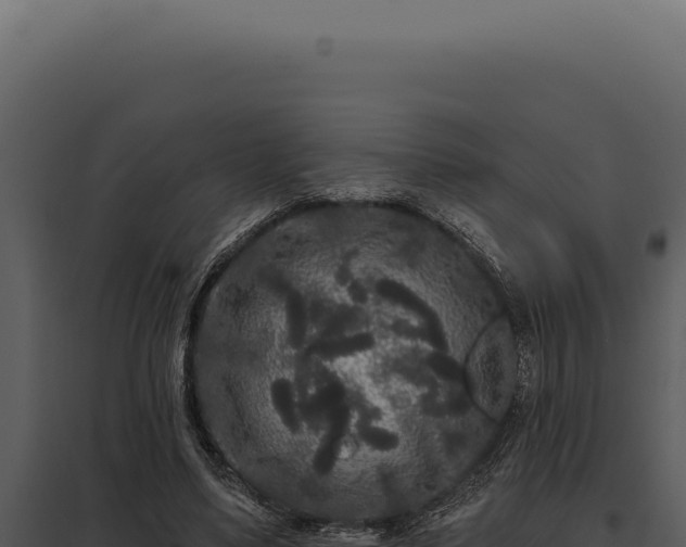 X0000097970491200804011724