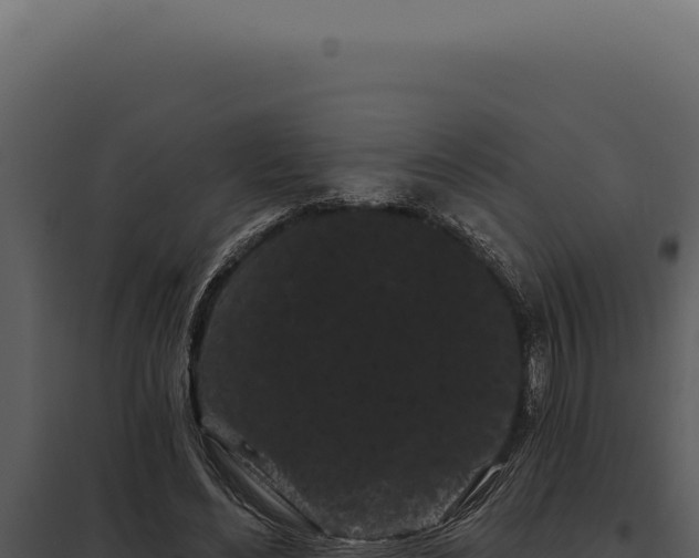 X0000097970492200804011724