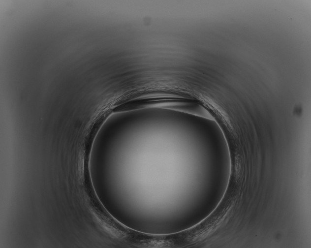 X0000097970493200804011724