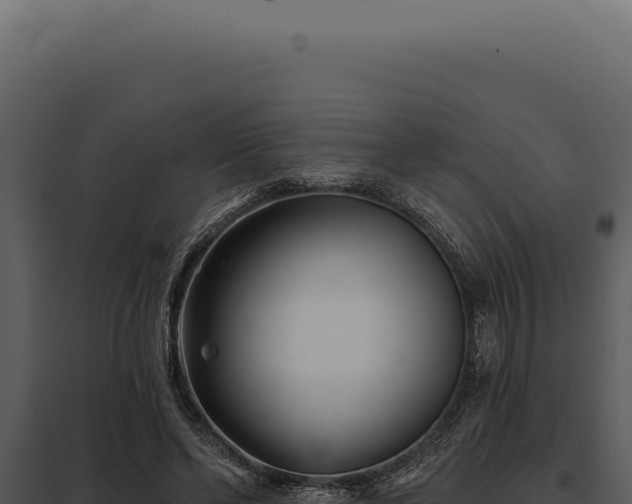 X0000097970494200804011724