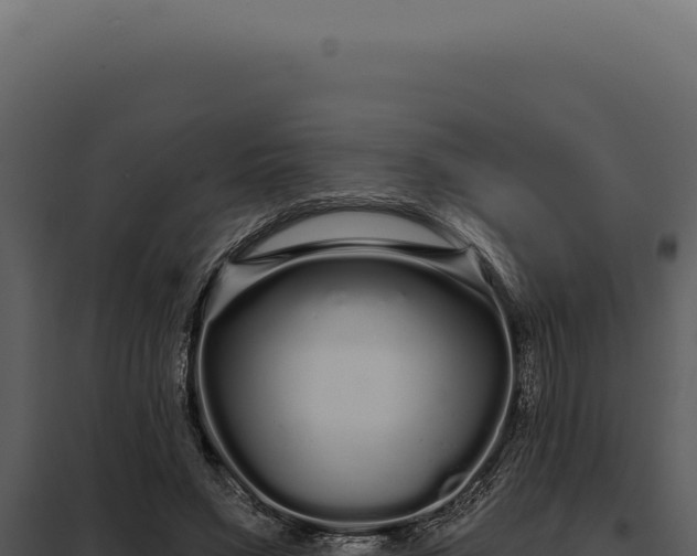 X0000097970495200804011724