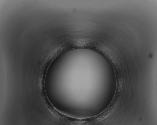 X0000097970497200804011724