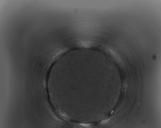 X0000097970500200804011724