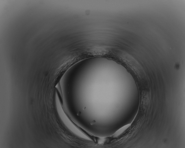 X0000097970501200804011724