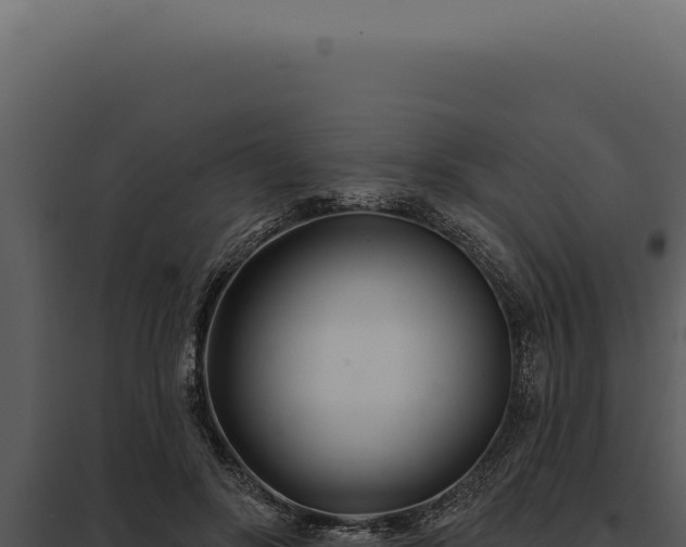 X0000097970502200804011724