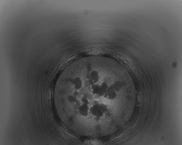 X0000097970503200804011724